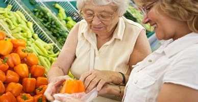 Aging Life Services Program